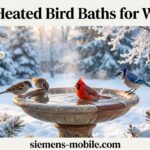 Best Heated Bird Baths for Winter