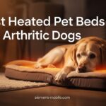 Best Heated Pet Beds for Arthritic Dogs