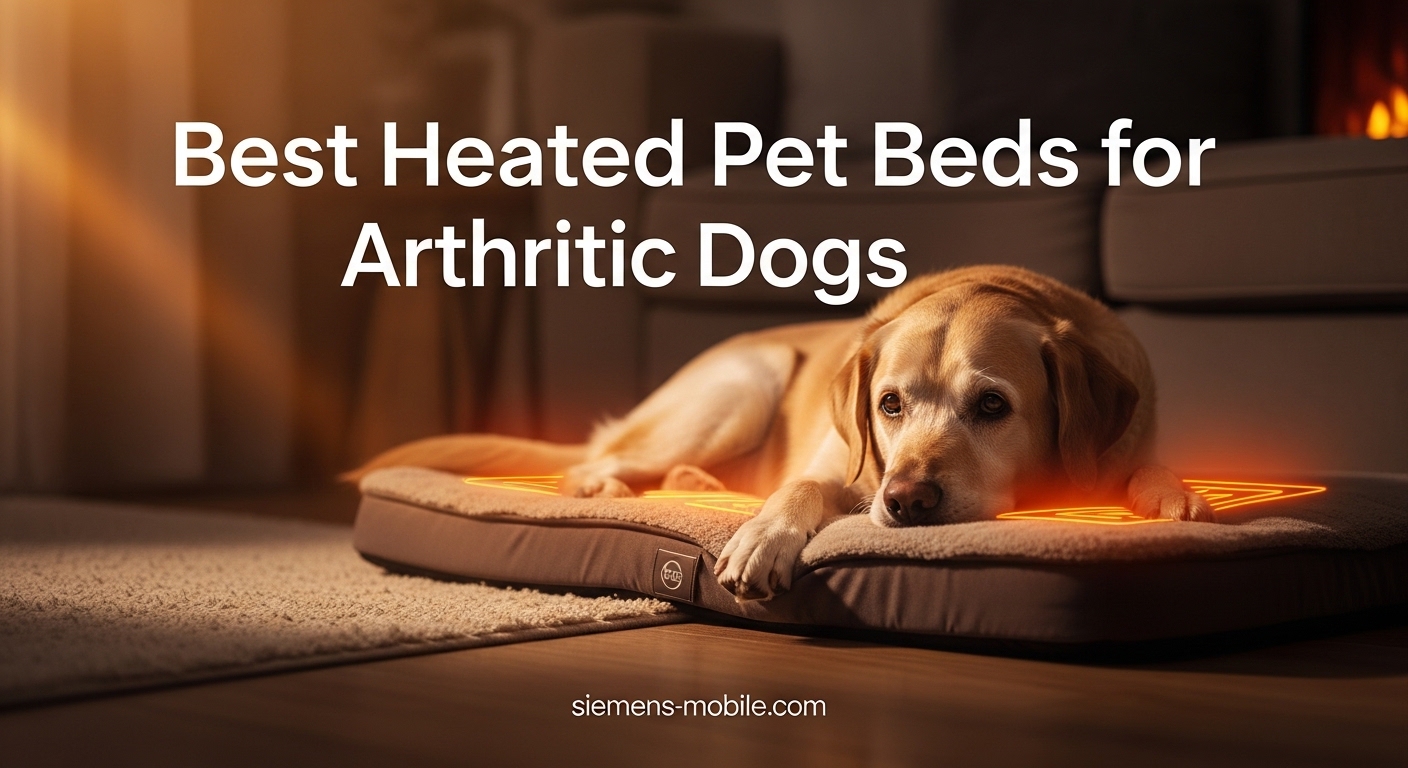 Best Heated Pet Beds for Arthritic Dogs