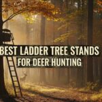 Best Ladder Tree Stands for Deer Hunting