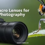 Best Macro Lenses for Insect Photography
