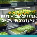 Best Microgreens Growing Systems