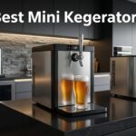 Best Mini Kegerators