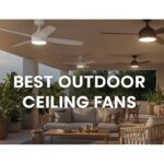 Best Outdoor Ceiling Fans