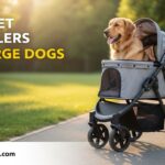 Best Pet Strollers for Large Dogs