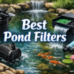 Best Pond Filters