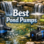 Best Pond Pumps