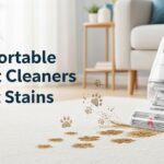Best Portable Carpet Cleaners for Pet Stains