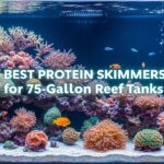 Best Protein Skimmers for 75-Gallon Reef Tanks