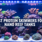 Best Protein Skimmers for Nano Reef Tanks