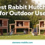 Best Rabbit Hutches for Outdoor Use