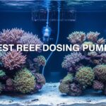 Best Reef Dosing Pumps