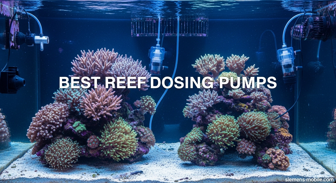 Best Reef Dosing Pumps