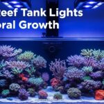 Best Reef Tank Lights for Coral Growth