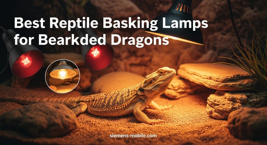 Best Reptile Basking Lamps for Bearded Dragons