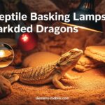 Best Reptile Basking Lamps for Bearded Dragons