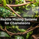 Best Reptile Misting Systems for Chameleons