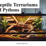 Best Reptile Terrariums for Ball Pythons