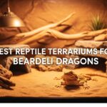 Best Reptile Terrariums for Bearded Dragons