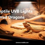 Best Reptile UVB Lights for Bearded Dragons