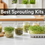 Best Sprouting Kits