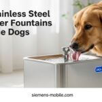 Best Stainless Steel Pet Water Fountains for Large Dogs