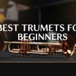 Best Trumpets for Beginners