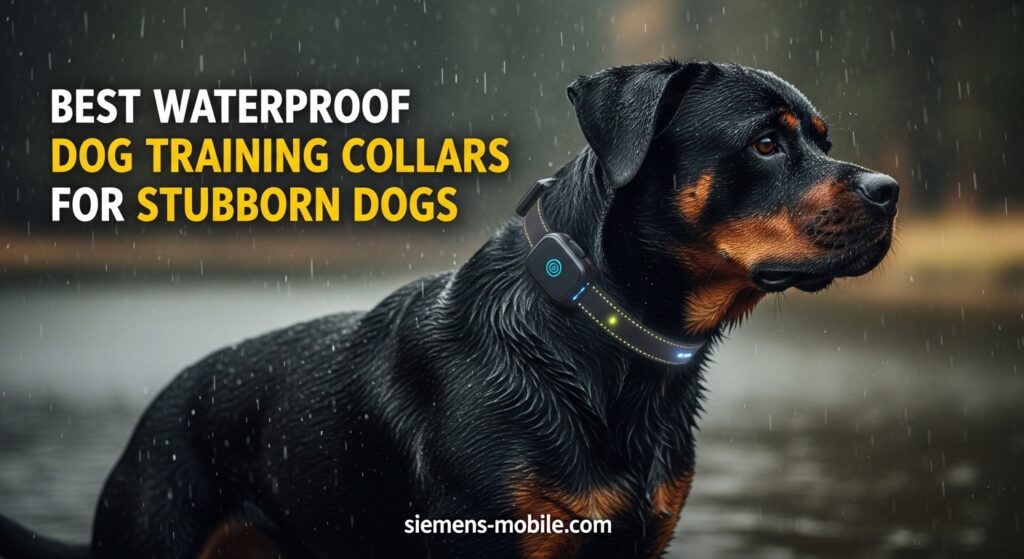 Best Waterproof Dog Training Collars for Stubborn Dogs