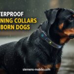 Best Waterproof Dog Training Collars for Stubborn Dogs