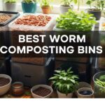 Best Worm Composting Bins
