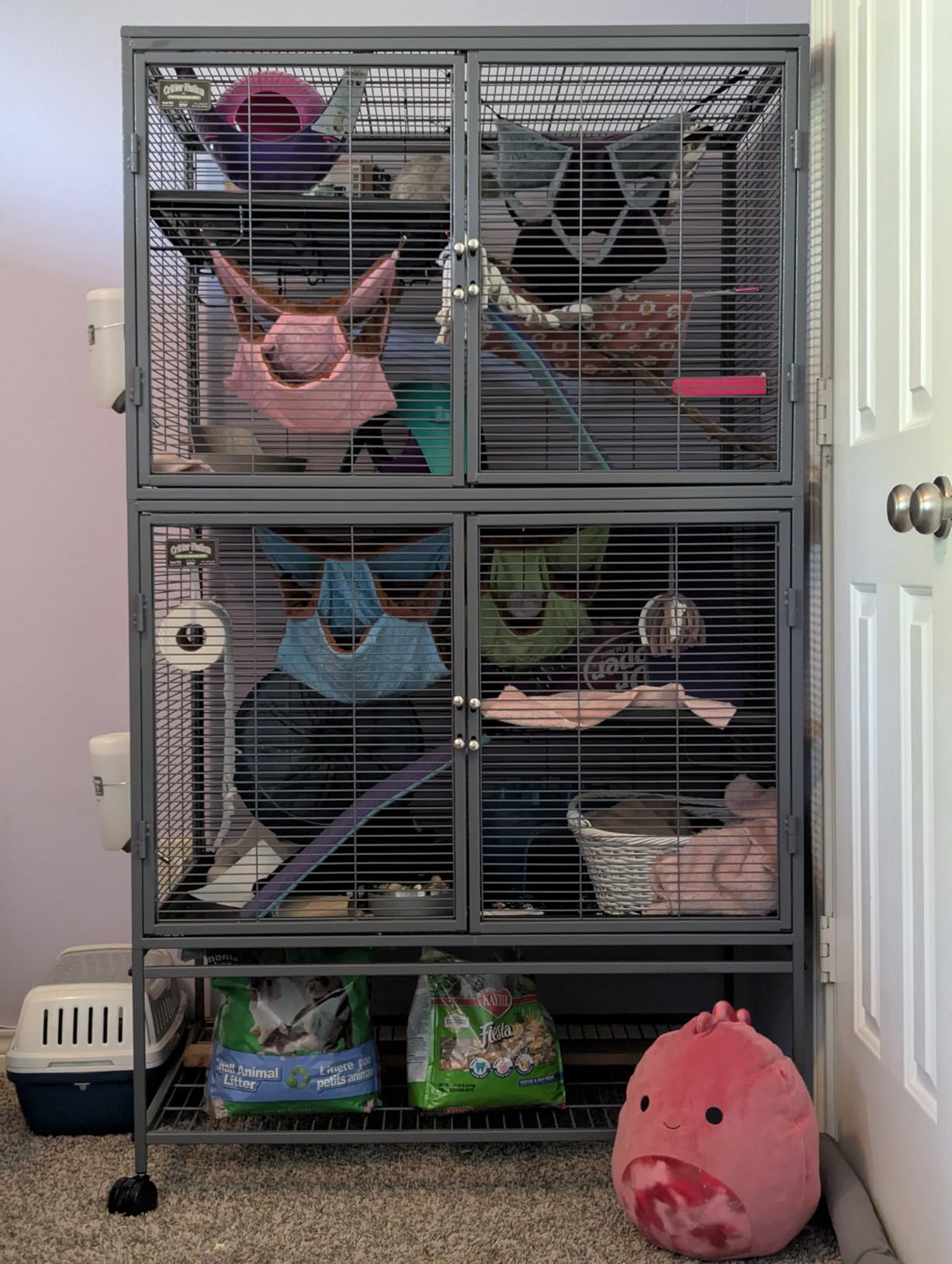 Critter Nation by MidWest Homes for Pets Single Unit Small Animal Cage, Habitat for Rats, Chinchillas, Ferrets, Sugar Gliders, Tool-Free Assembly, with Full-Width Doors, Shelf and Removable Base Pan customer photo 1