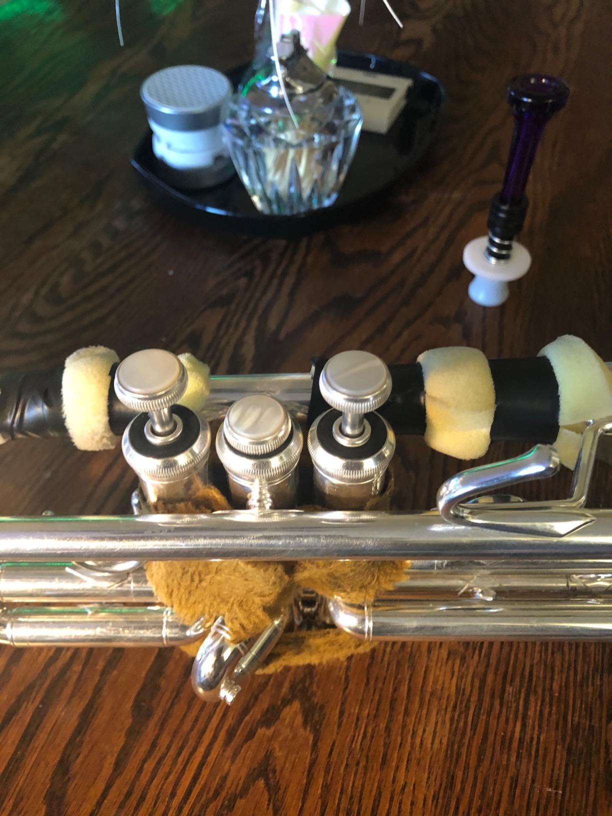 Bach LR180S43BAC Stradivarius Professional Bb Trumpet - Silver - Reverse Leadpipe customer photo 1