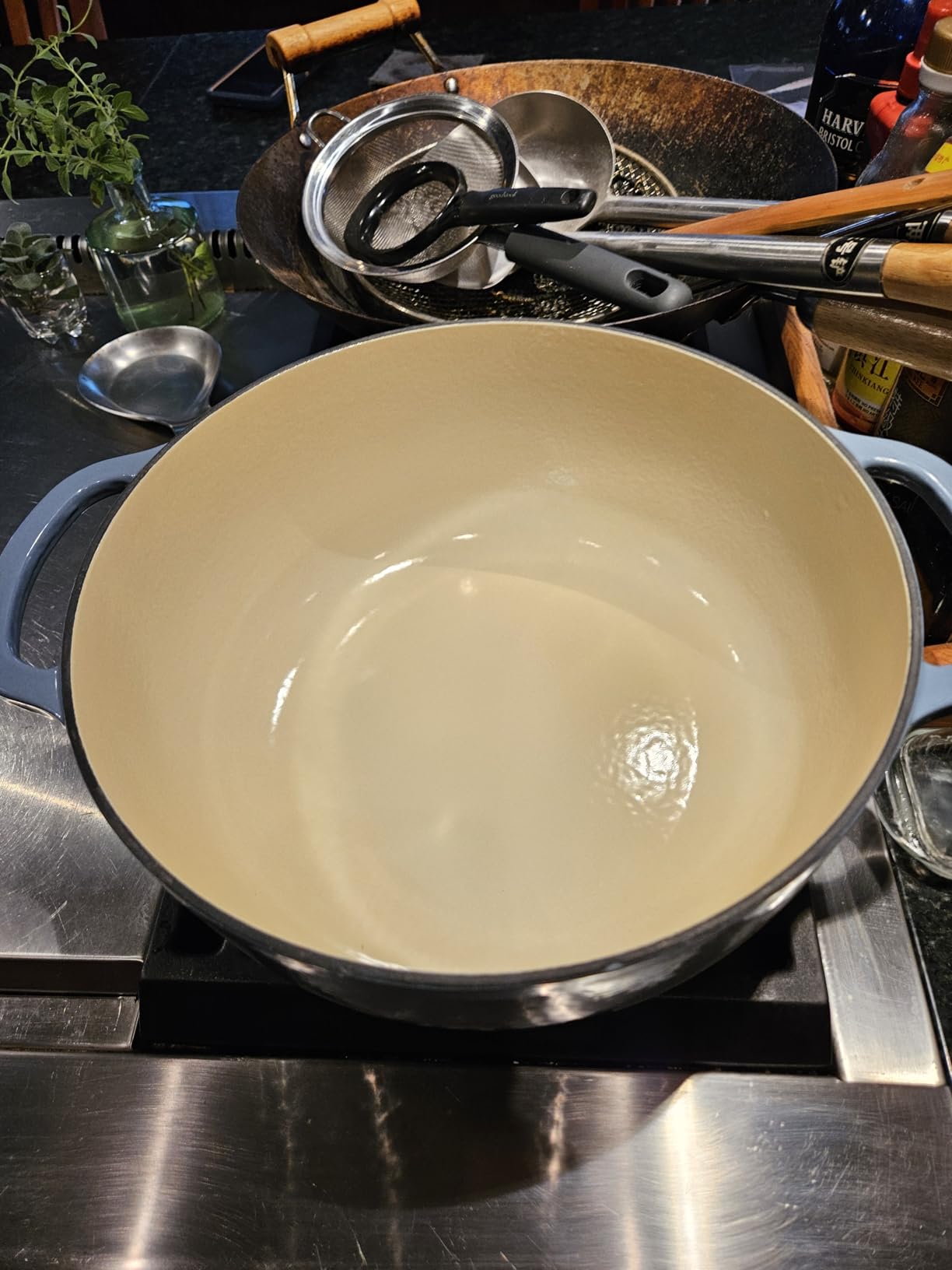 Lodge Essential Enamel Cast Iron Dutch Oven with Lid - 7.5 Quart, Carribean Blue customer photo 1