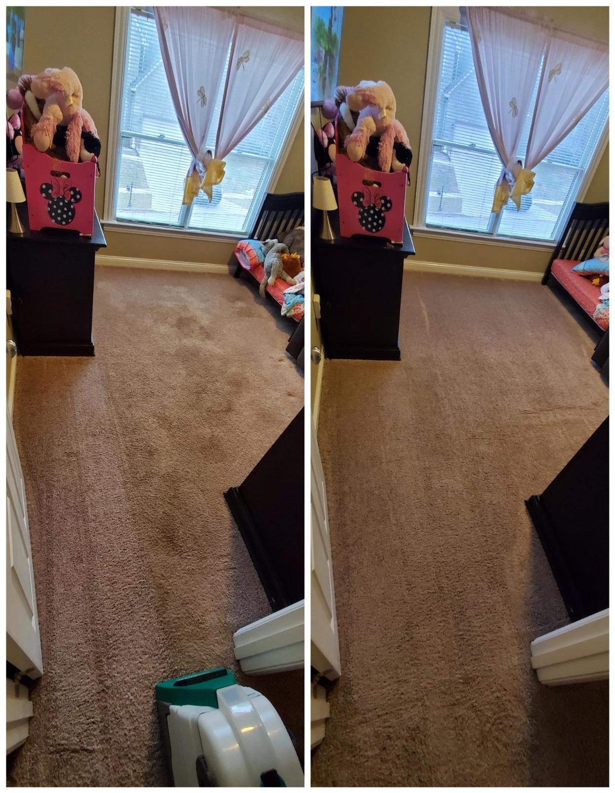 BISSELL® Big Green® Professional Carpet Cleaner with XL DirtLifter PowerBrush, 9-inch Long Reach Hose, 6-inch Tough Stain Tool, Includes BISSELL PRO MAX Formula with Stain Protect Technology customer photo 2
