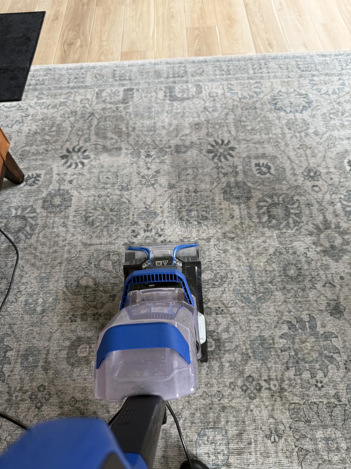 Bissell 78H63 Deep Clean Pro 4X Deep Cleaning Concentrated Carpet Shampoo, 48 ounces - Silver customer photo 1