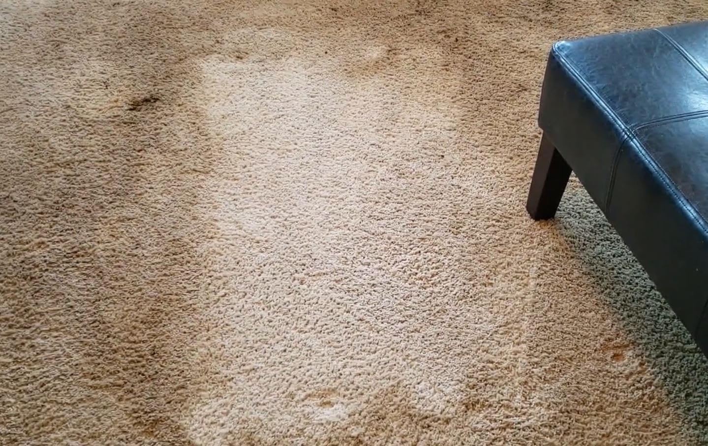 Bissell 78H63 Deep Clean Pro 4X Deep Cleaning Concentrated Carpet Shampoo, 48 ounces - Silver customer photo 2