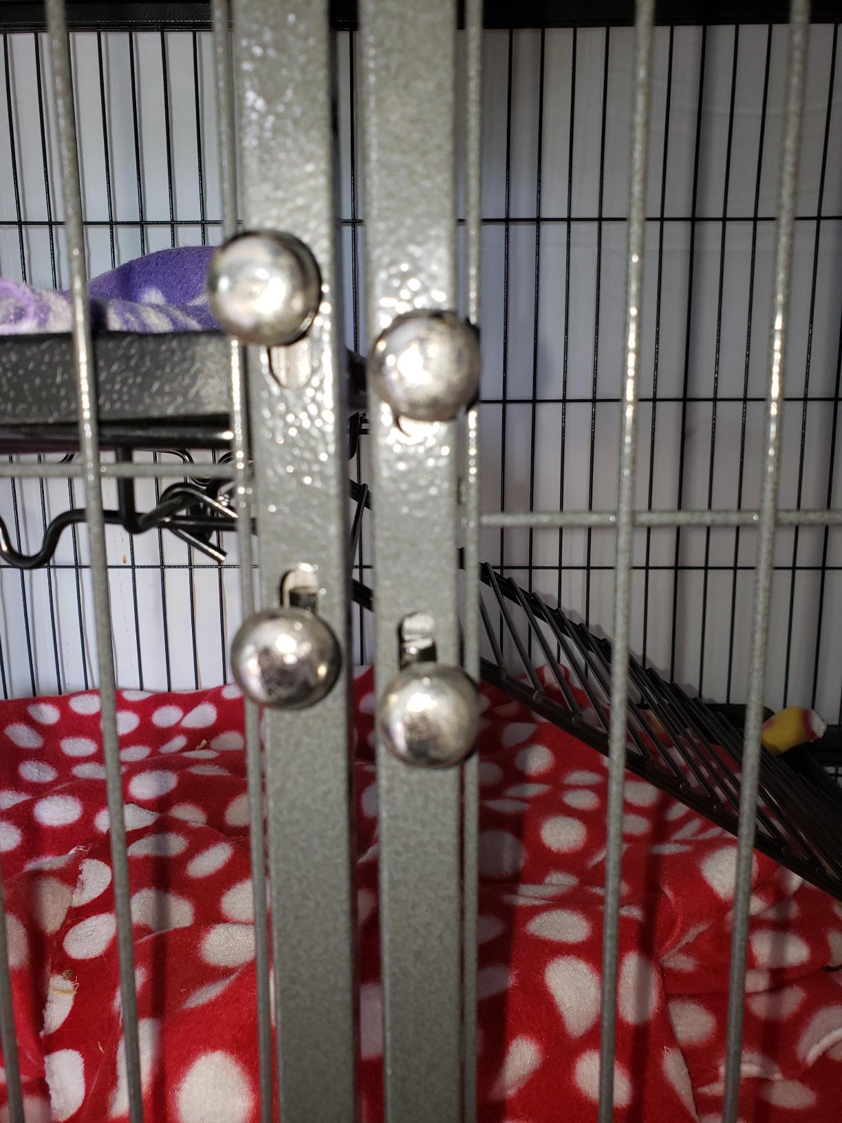 MidWest Homes for Pets Ferret Nation Double Unit Small Animal Cage, 4 Tiers, Includes Pans, Shelves, Ramps & Covers, for Ferrets & Small Animals customer photo 2