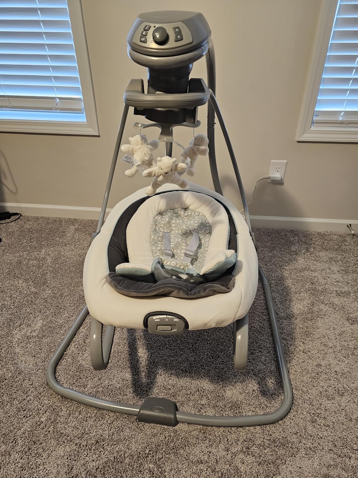 Graco DuetSoothe 2 in 1 Portable Baby Swing & Baby Rocker customer photo 2