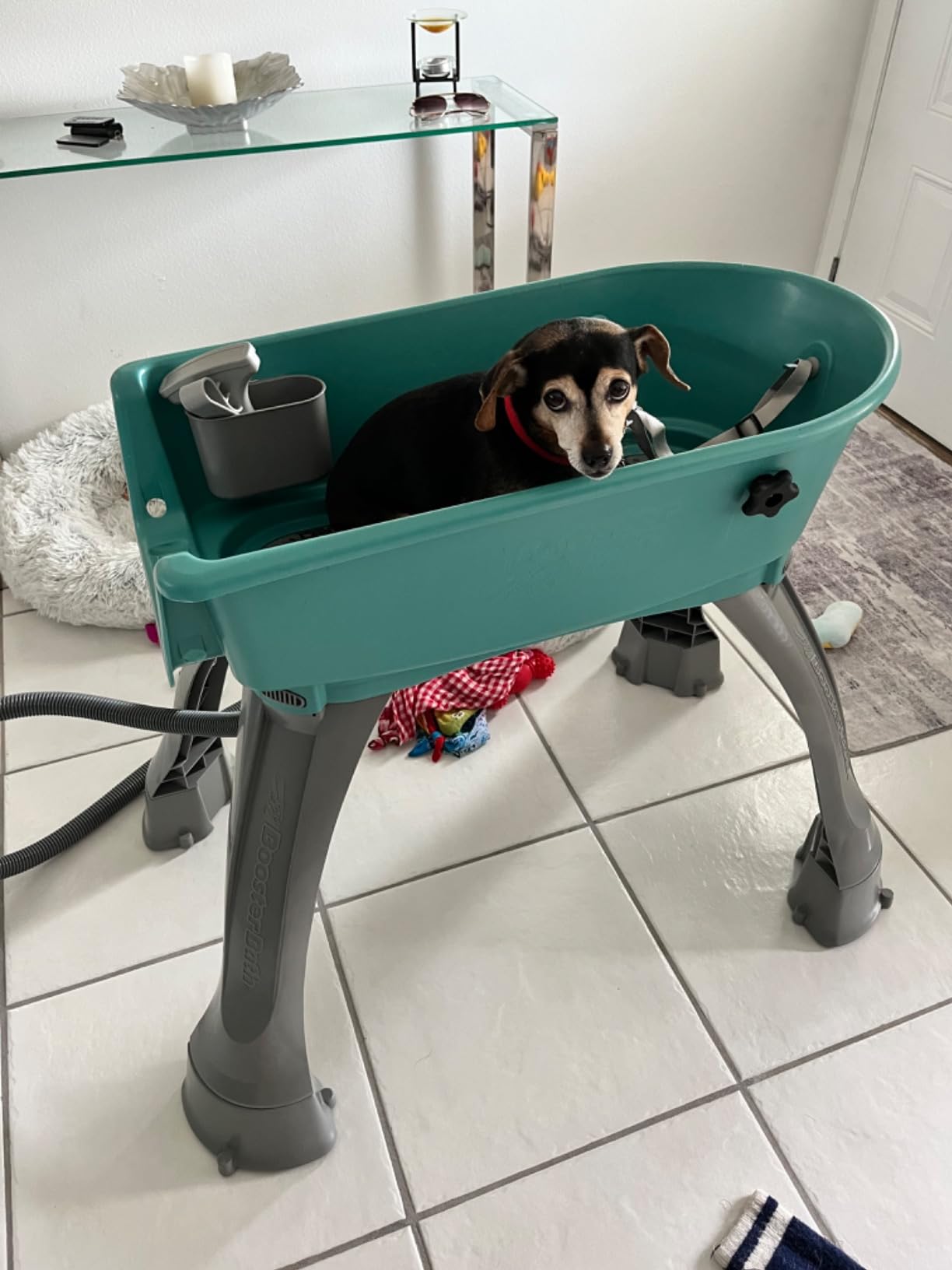 Booster Bath Elevated Pet Bathing Medium customer photo 1
