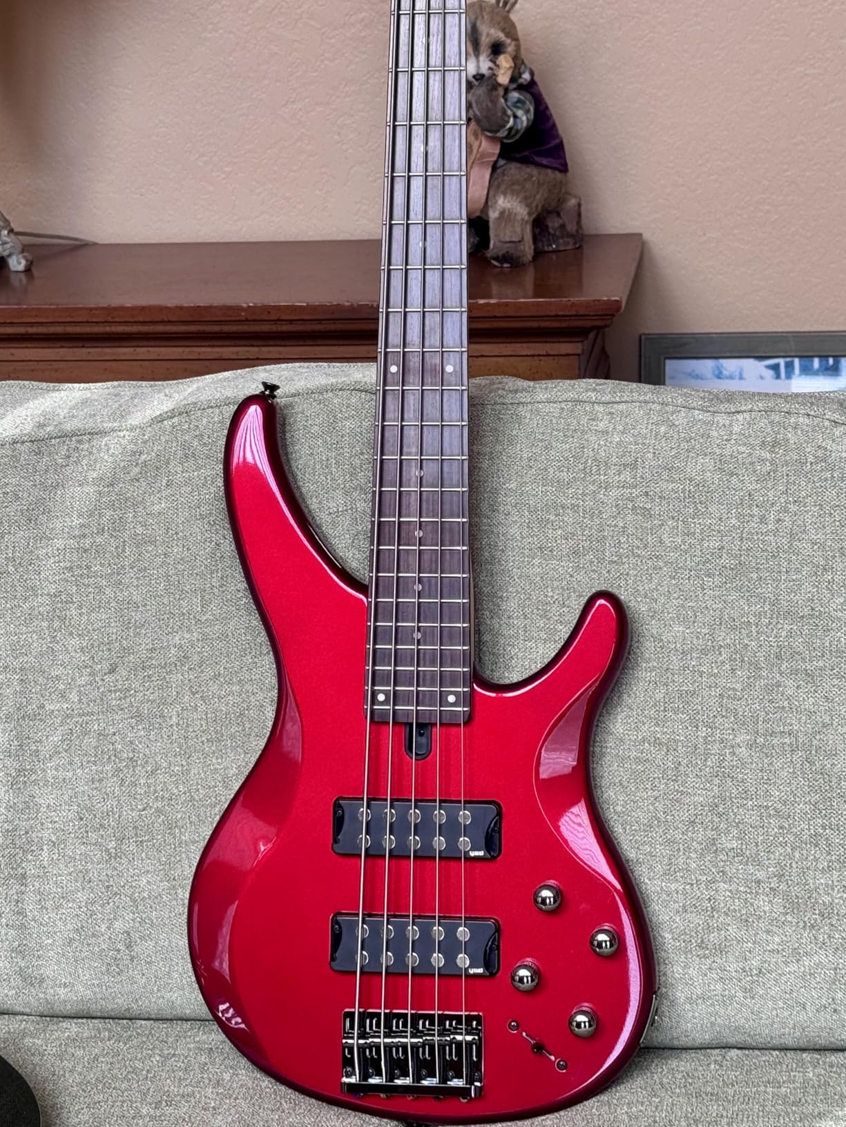 Yamaha TRBX505 TWH 5-String Premium Electric Bass Guitar, Translucent White customer photo 1