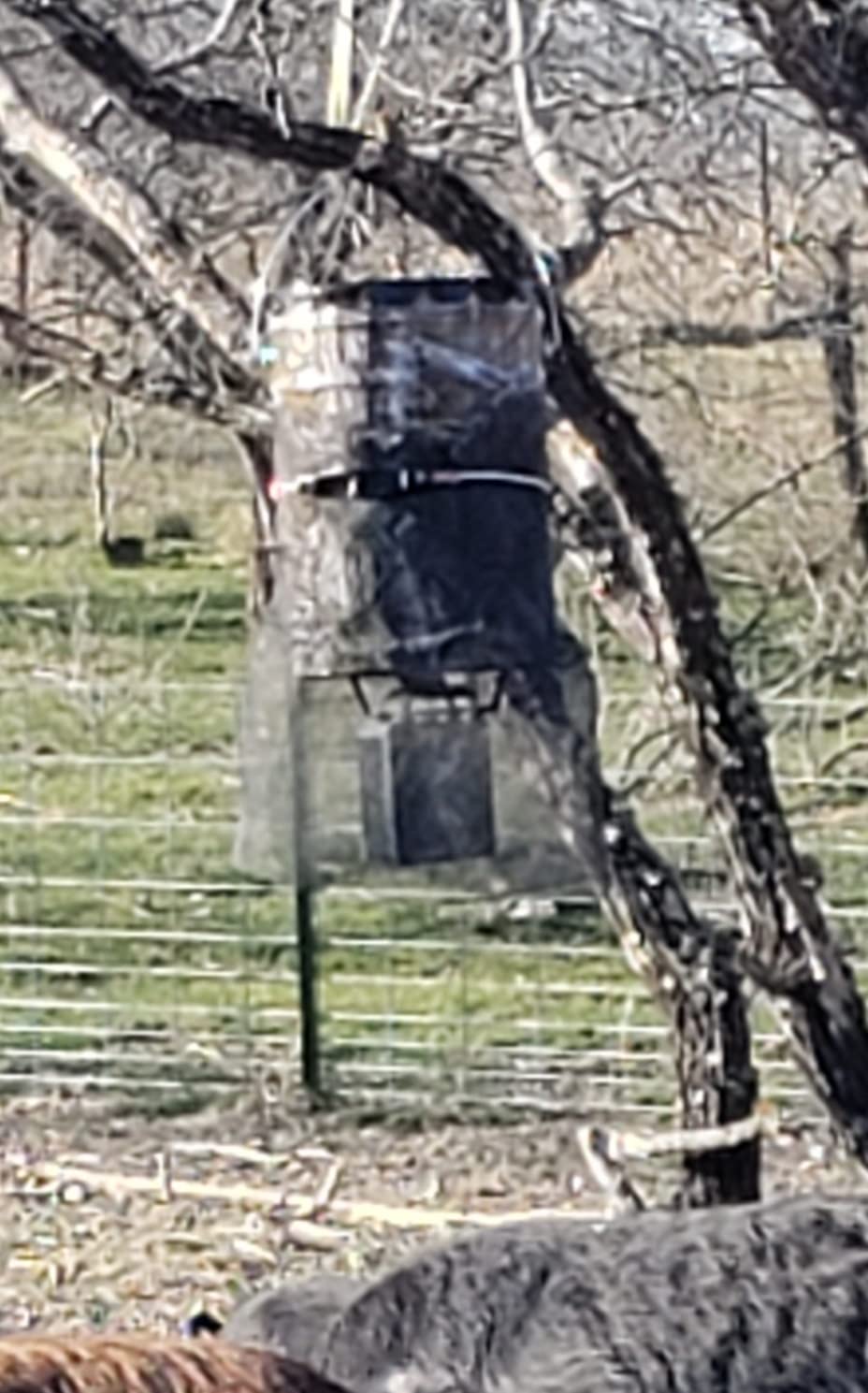 WILDGAME INNOVATIONS Quick-Set 50 lb Bucket Feeder with PCell Timer Hanging Game Feeder for Corn & Pellet Feed with 1-2 Available Feed Times & 30 ft Radius customer photo 2