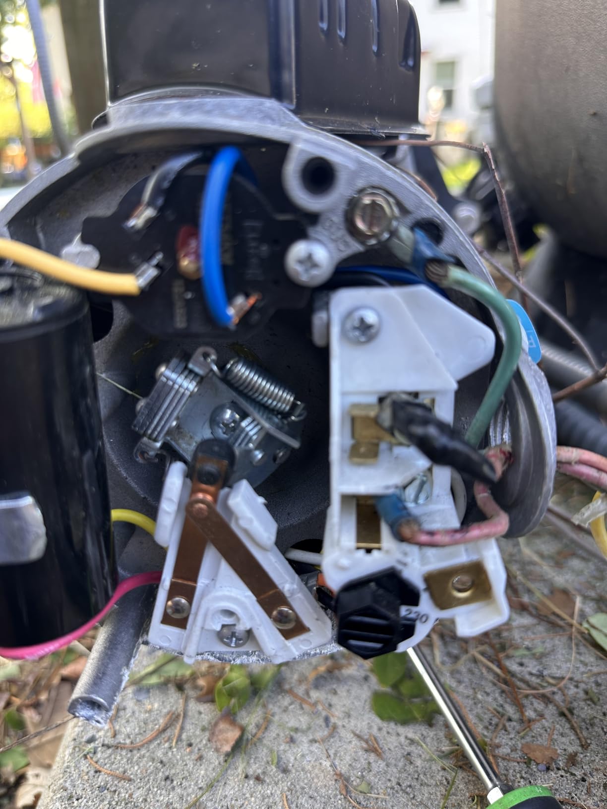 Doheny's Inground Swimming Pool Pro Pump | 1.5 HP, 115V/230V, 97 GPM | Self-Priming, Heavy-Duty, Low-Noise, High-Efficiency | Stainless Steel Shaft, Reinforced Thermoplastic, CSA & ETL Certified customer photo 1