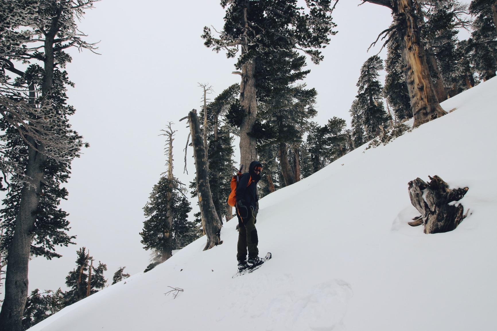 MSR Evo Ascent Backcountry & Mountaineering Snowshoes customer photo 2