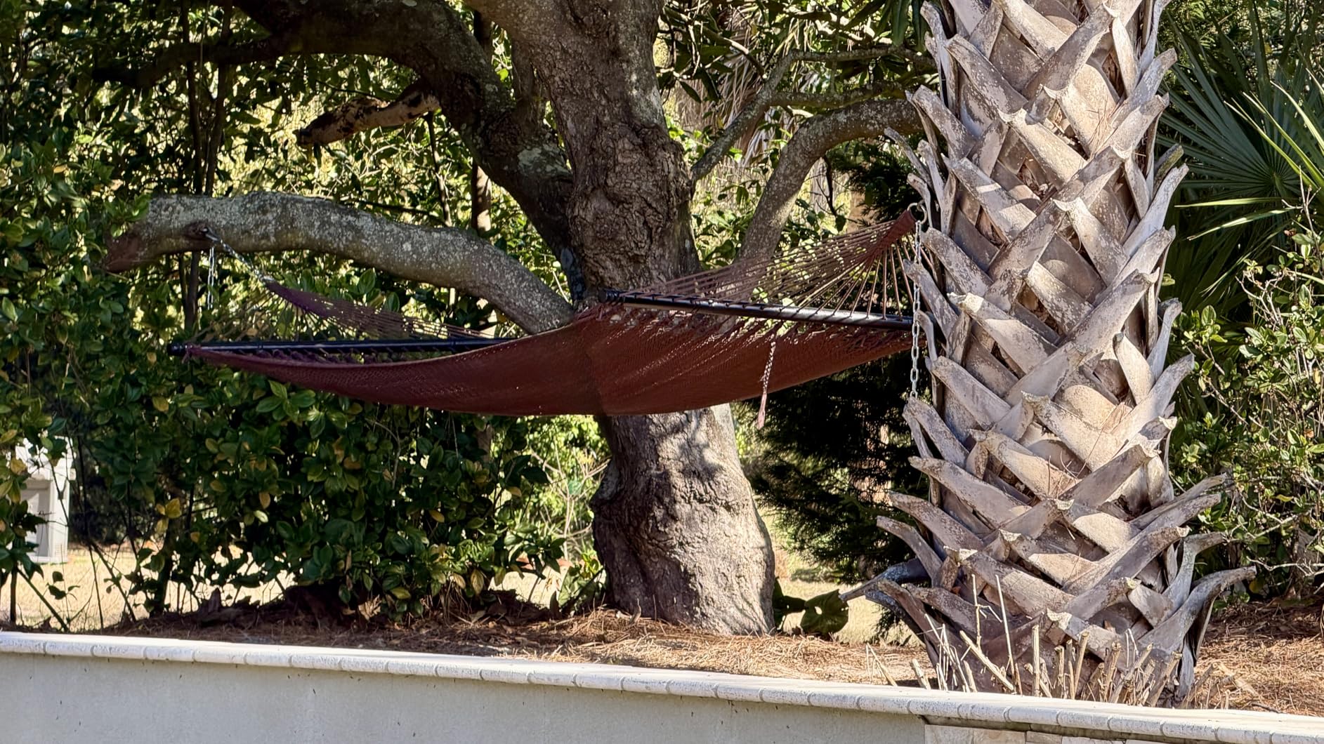 Sunnydaze Soft-Spun Polyester Rope Double Hammock for Outside - 600-Pound Weight Capacity Extra Large Hammock customer photo 1