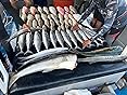 Daiwa Leo Blitz S400 Electric Reel customer photo 1