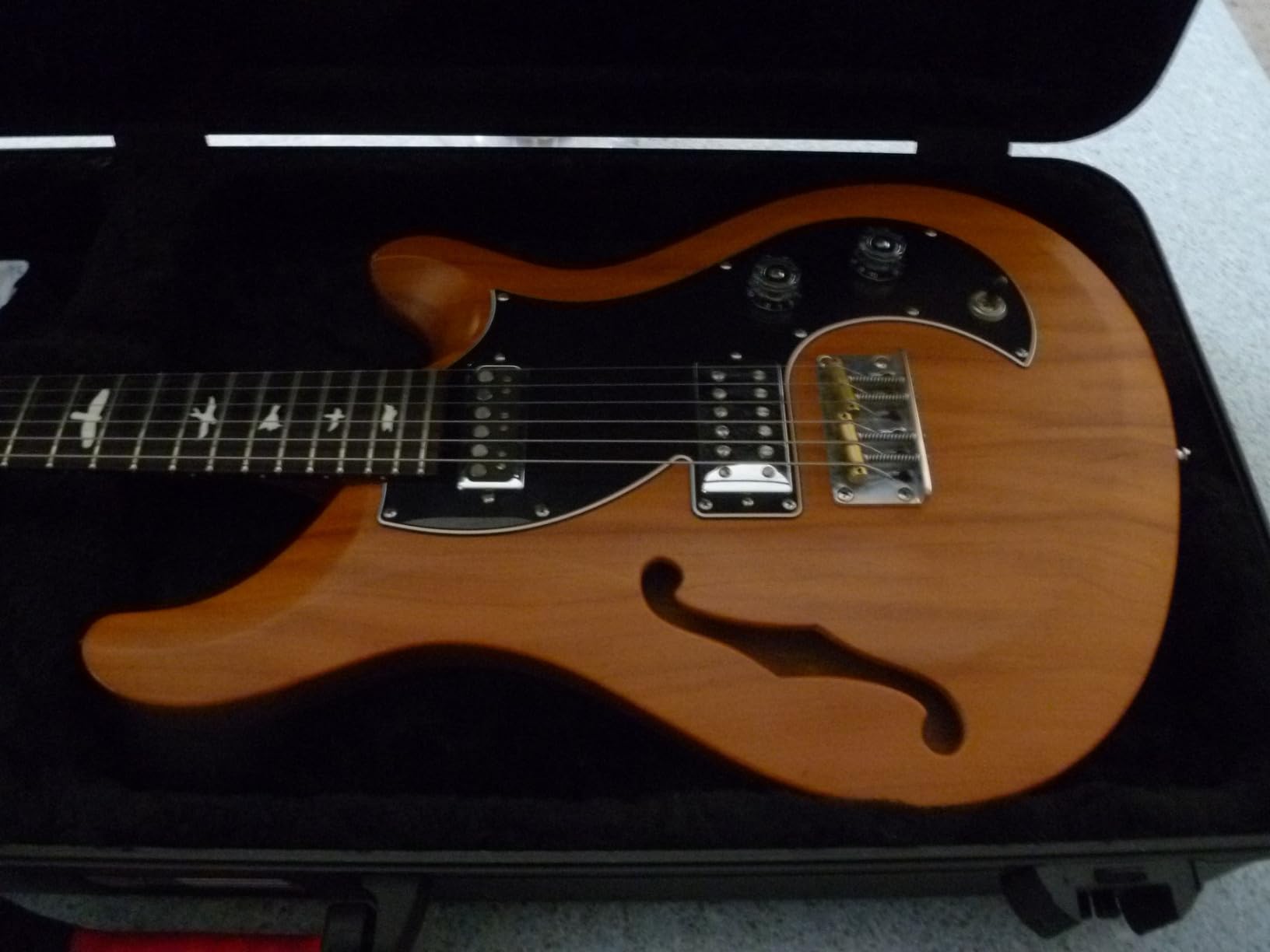 Gator Cases Molded Flight Case for Strat/Tele Style Electric Guitars with TSA Approved Locking Latch, (GTSA-GTRELEC) customer photo 2