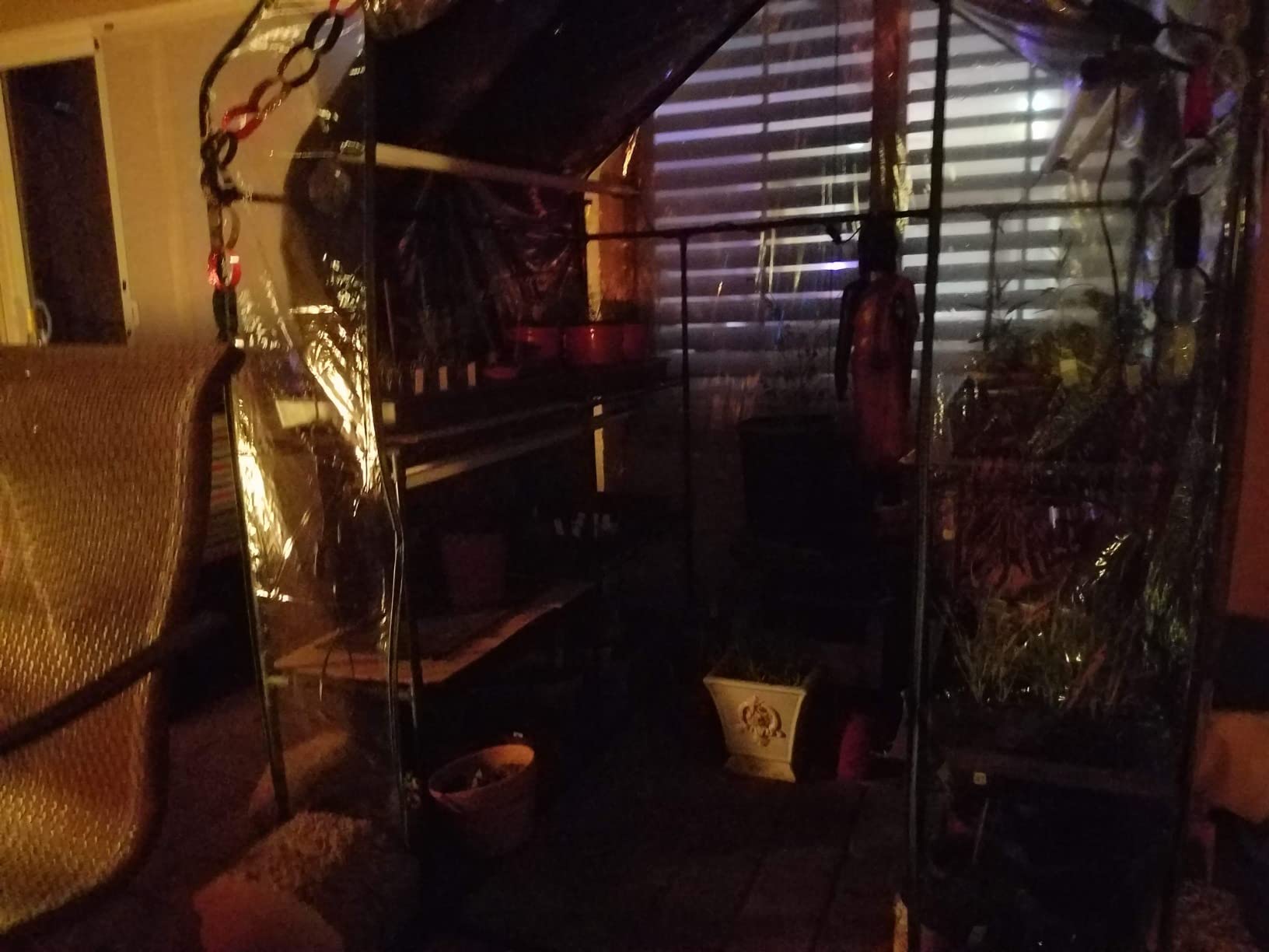 Greenhouse - Walk in Greenhouse with 8 Sturdy Shelves and PVC Cover for Indoor or Outdoor Use - 56 x 56 x 76-Inch Green House by Pure Garden customer photo 2