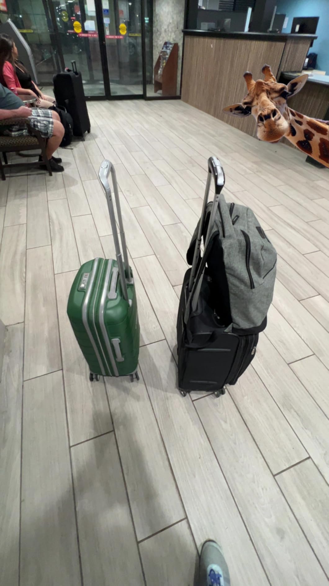 Samsonite Freeform Large Checked Luggage with Dual 360° Spinner Wheels - TSA Lock, Airline-Approved, Black customer photo 1