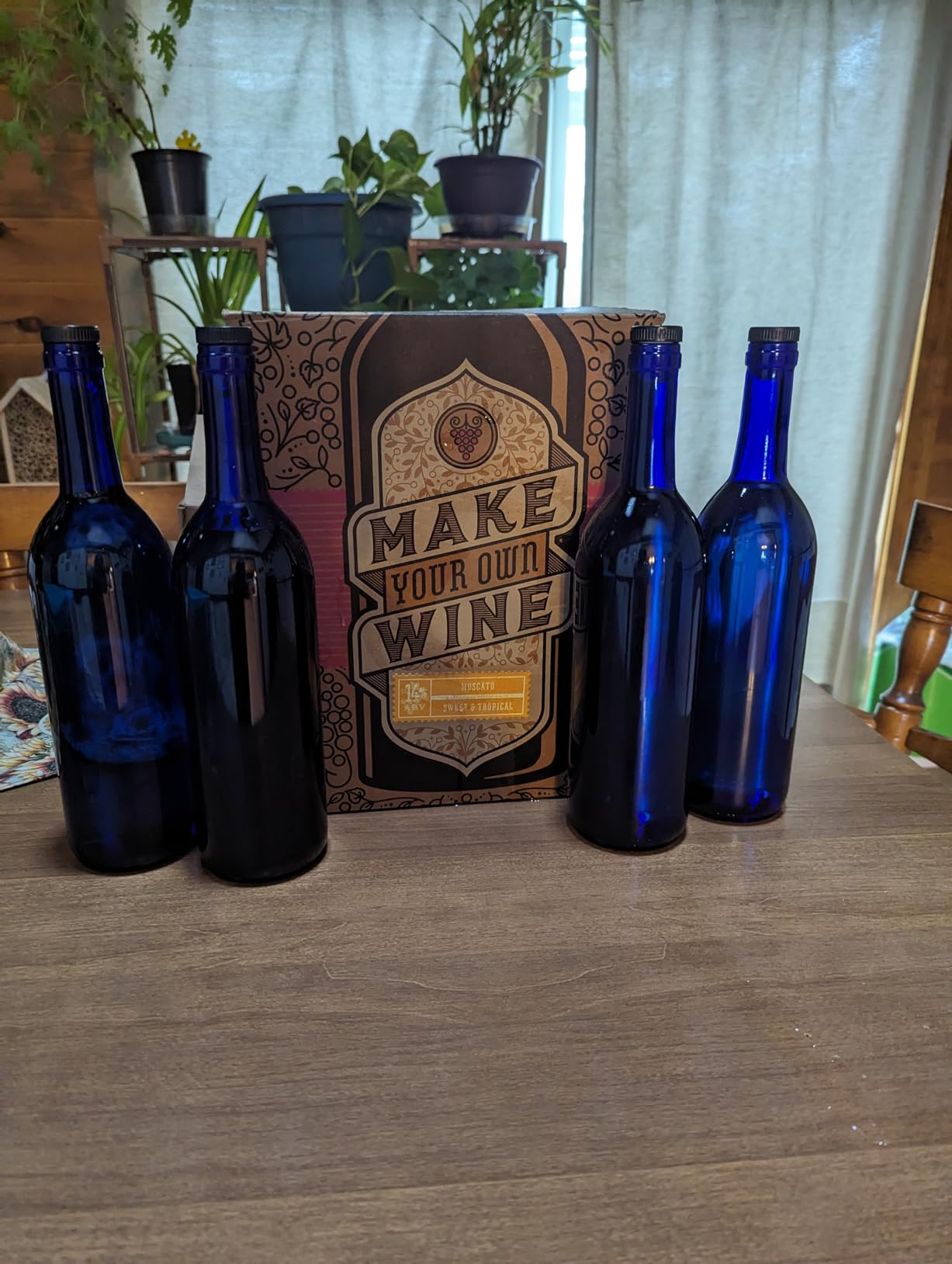 Craft A Brew - Cabernet Sauvignon Wine Kit - Easy for Beginners - At Home Wine Making Kit customer photo 1