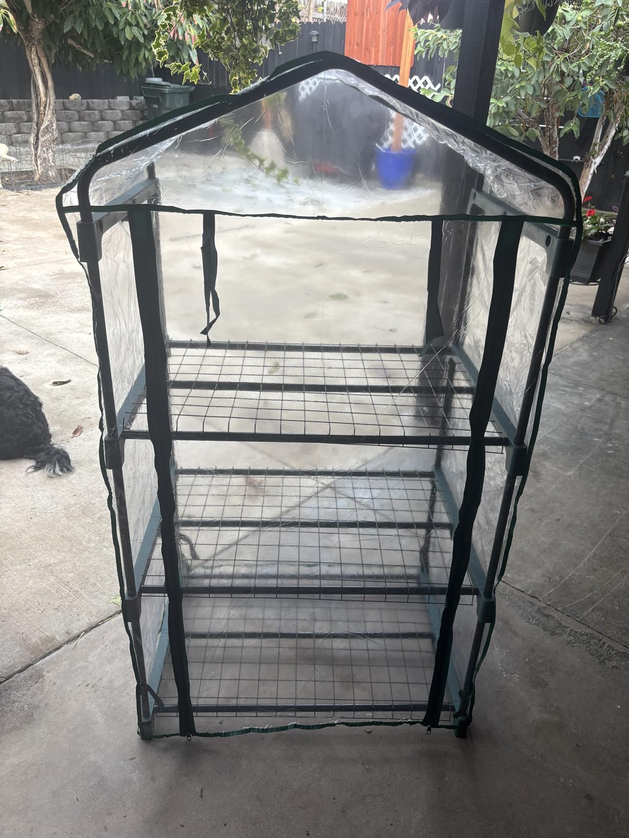 3 Tier Mini Greenhouse - Portable Greenhouse with Rust-Resistant Frame and PVC Cover for Indoor/Outdoor - 27.5x19x50-Inch customer photo 1
